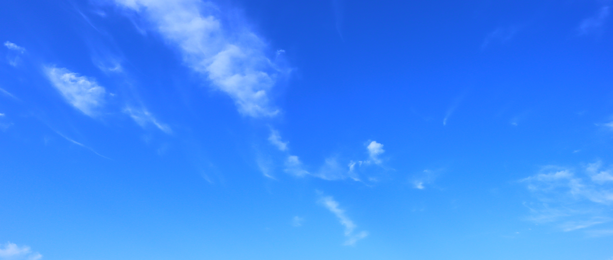 有限会社真栄運輸